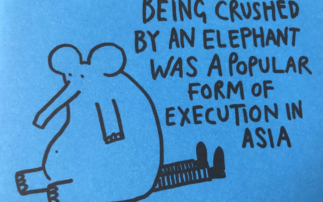 Knowledge is Power 15