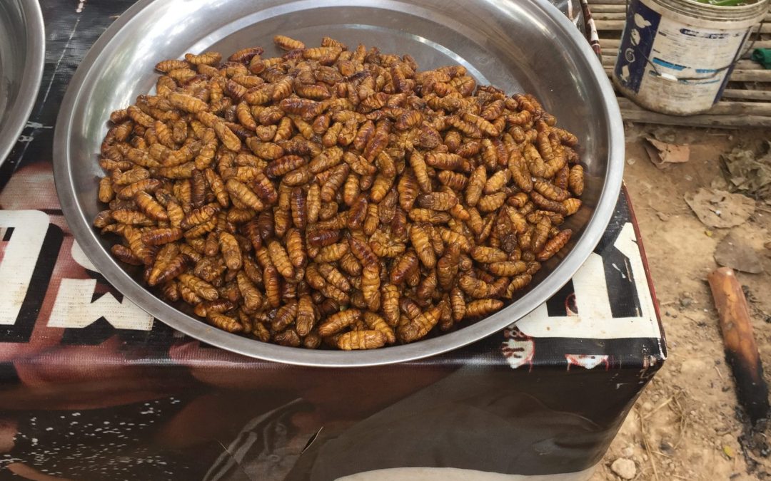 Sunday Sights – Cambodia