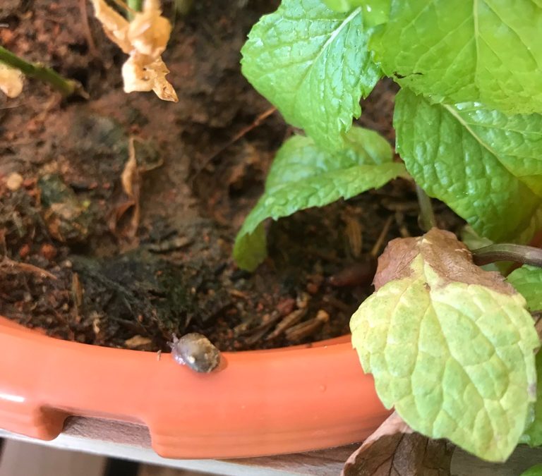 Let’s Talk…..Neglect