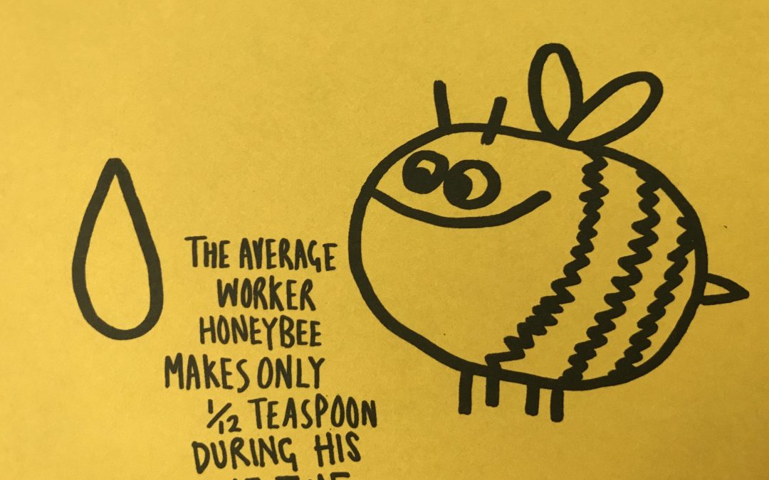 Knowledge is Power 27