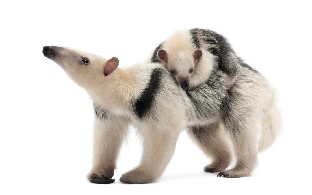 KNOWLEDGE IS POWER 48